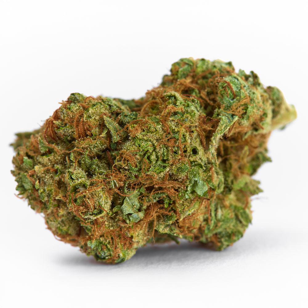 Wonka Bars THCa Hemp Flower